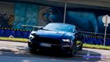 Ford Mustang 2.3 EcoBoost - 55 Years Edition - gebrauchte Ford Mustang aus dem Jahr 2020