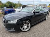 Audi A5 3.0 TDI S-Line quattro Cabrio XENON/SHZ/NAVI - Audi A5 aus 2009: Line