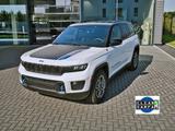 Jeep Grand Cherokee PEV unfallfrei - Jeep Grand Cherokee mit Hybrid-Antrieb
