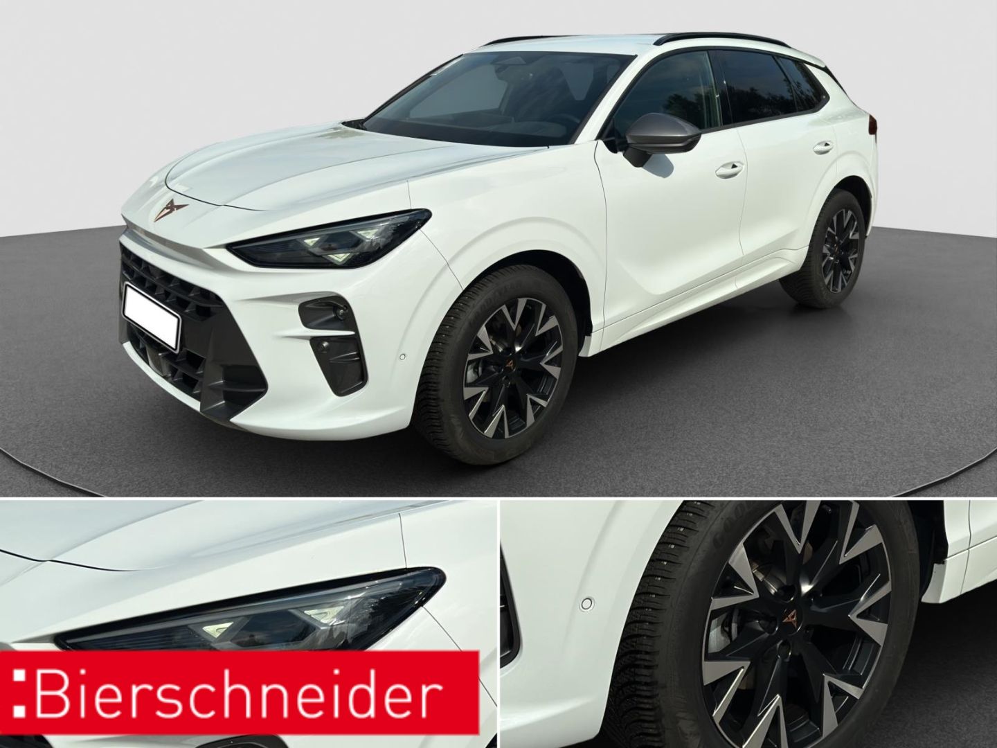 Cupra Terramar - Bild 35