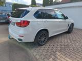 BMW X5 xDrive30d - sehr gepf. OZ felgen ,NR  -AHK,  - BMW: F30