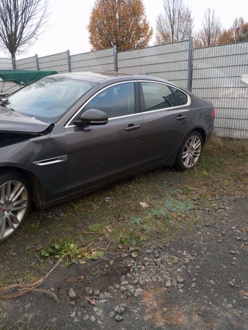 Jaguar XF 20d 180PS R-Sport Sportbrake Automatik R-...