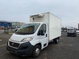Fiat Ducato 2X Klima -32° - Angebote