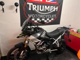 Triumph Tiger 900 Rally Aragon Edition - TRIUMPH TIGER 900
