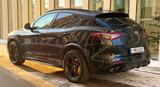 Alfa Romeo Stelvio 2.9 Bi-T. V6 375kW Quadrifoglio AT8-... - Alfa Romeo Stelvio Quadrifoglio mit Benzin-Antrieb