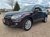 Volkswagen Tiguan Life BMT 4Motion - Volkswagen Tiguan mit Diesel-Antrieb: Allradantrieb, Geländewagen