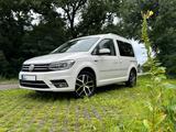 Volkswagen Caddy 1,4TSI DSG absolute Vollausstattung Traum! - Volkswagen Caddy: Weiß