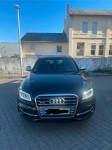 Audi AUDI SQ5 3.0TDI COMPETITION tiptronic quattro - Audi quattro mit Diesel-Antrieb