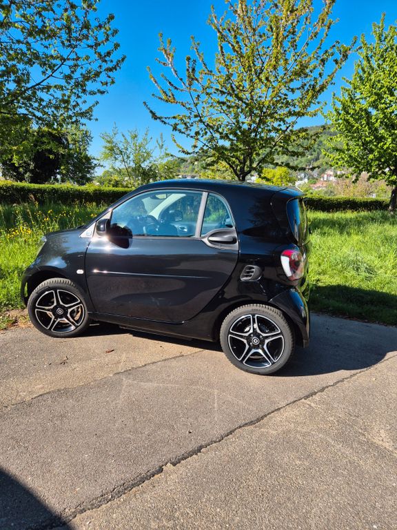 Image of Smart Other