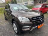 Mercedes-Benz ML 250 ML -Klasse ML 250 CDI BlueTec - Mercedes-Benz: Allradantrieb, Geländewagen