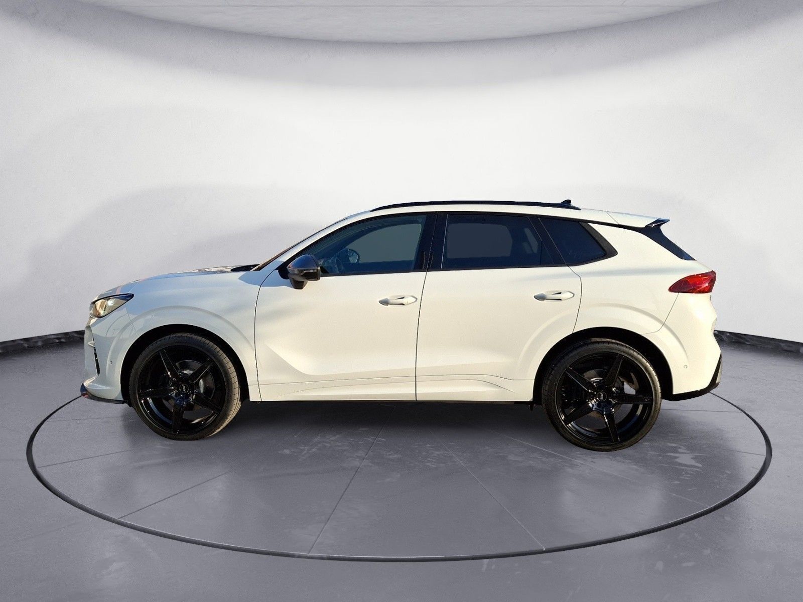 Cupra Terramar VZ ABT 2.0 TSI imagem 3