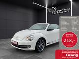 Volkswagen Beetle Cabriolet TSI Exclusive -Sport Navi Leder - Volkswagen Beetle: Weiß