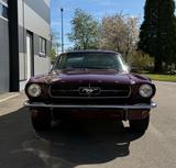 Ford Mustang Fastback 1965  289 V8 Automatik  - Ford Mustang aus 1965: Coupe