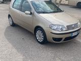 Fiat Punto Classic 1.3 MJT 16V 5 porte - Fiat Punto mit Diesel-Antrieb: Classic