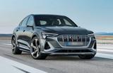 Audi etron 55 gesucht. - : Gesucht