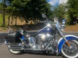 Harley-Davidson Softail classik de luxe - HARLEY-DAVIDSON 2006 SOFTAIL