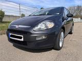 Fiat Punto Evo Active, Sehr gepflegt ! - Fiat Punto Evo: Active