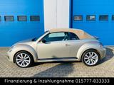Volkswagen Beetle Cabriolet Exclusive Sport Automatik LED - Volkswagen Beetle