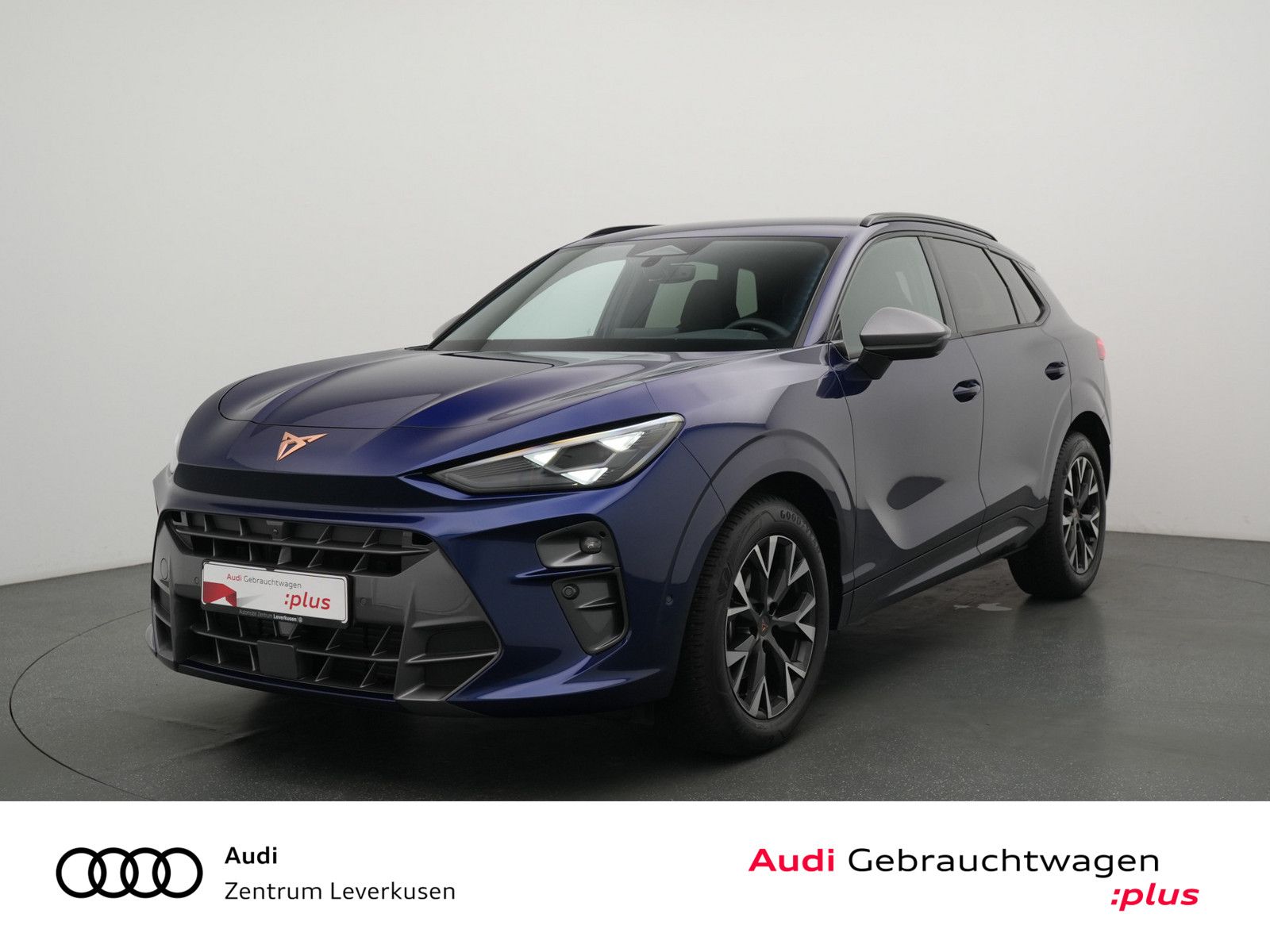 Cupra Terramar - Bild 1