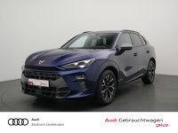 Cupra Terramar - Vorschau Bild 1