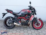 Yamaha MT-07 Moto Cage 1.Hand Tieferlegung + Zubehör - YAMAHA MOTORRAD