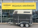Böckmann Comfort 2 Pferdeanhänger Vollpoly SK 2t. - Pferdeanhänger Vollpoly