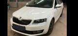 Skoda Octavia Combi Joy,NAI,ALU,KLIMA,SITZHEIZUNG,SITZ - Skoda Octavia Joy mit Diesel-Antrieb