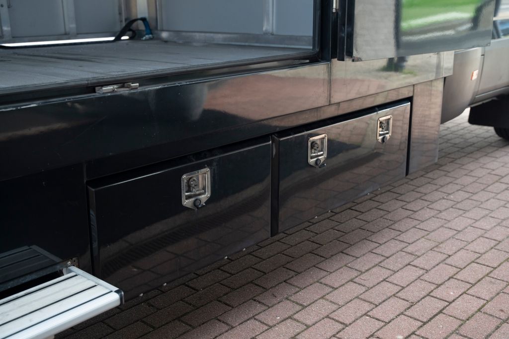 Daily CAR TRANSPORTER - Bild 10