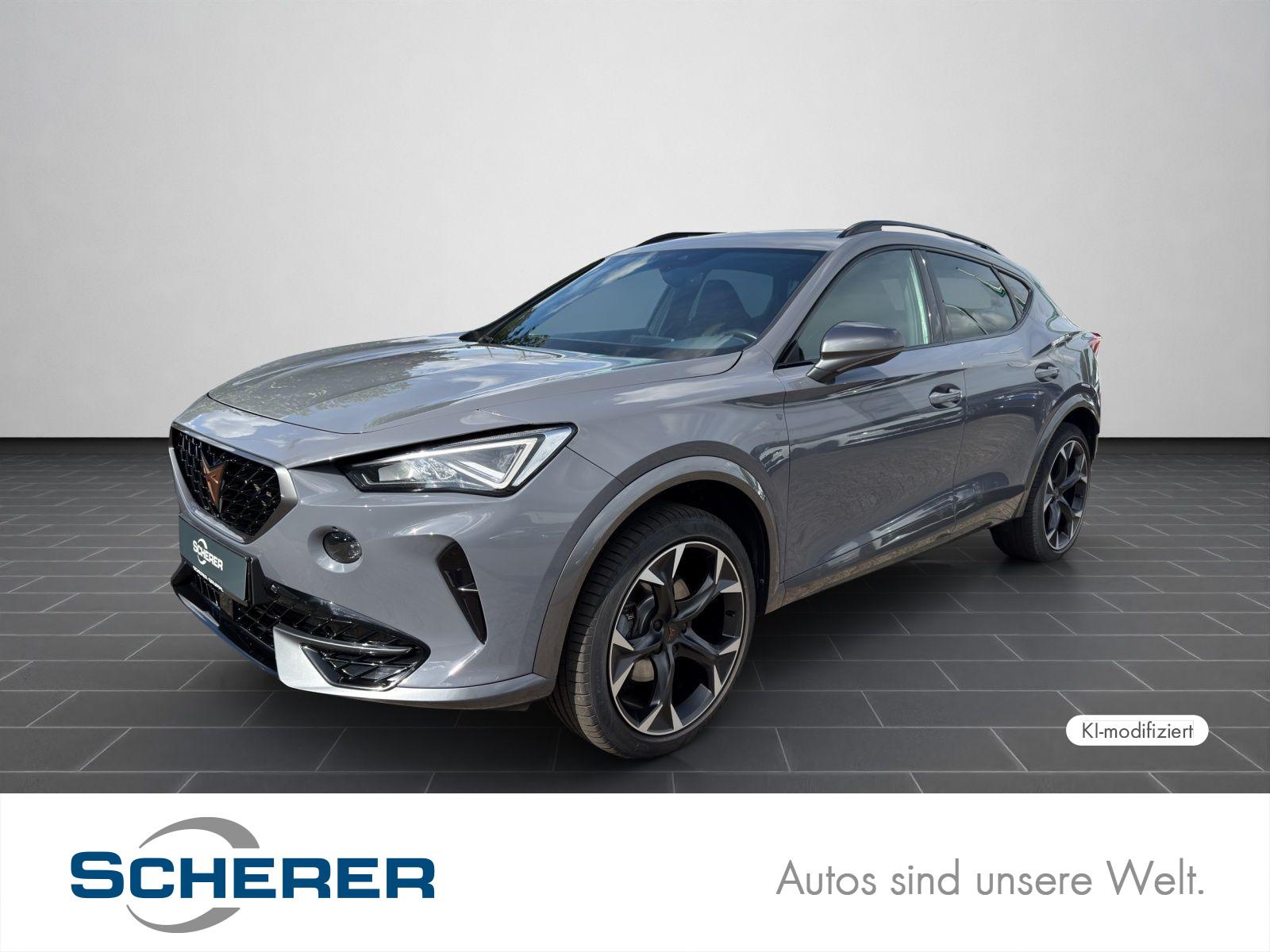 Cupra Formentor 2.0 TDI 4Drive Navi, Pano, RFK, Memory