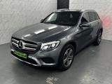 Mercedes-Benz GLC 220 d 4Matic AMG Line+Ambiente+Pano+DAB+LED - gebrauchte Mercedes-Benz GLC 220 aus dem Jahr 2019