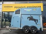 Humbaur Pegasus Style 2-Pferdeanhänger 2,4t Neu Vollpoly - Pferdeanhänger Vollpoly