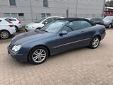 Mercedes-Benz CLK 240 AVANTGARDE*Vollleder*Comand*SHZ*UVM. - Mercedes-Benz CLK 240: Cabrio