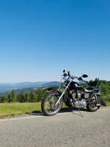 Harley-Davidson Sportster XLH 1200c - Harley-Davidson Sportster XLH 1200 Sport