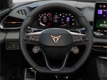 Cupra Terramar 2.0 TSI 4Drive AHK Navi Kamera
