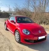 Volkswagen Beetle 1.2 TSI BMT ALLSTAR Cabriolet ALLSTAR - Volkswagen Beetle in Hannover