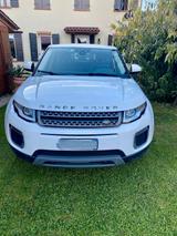 Land Rover Range Rover Evoque 5p 2.0 td4 Pure AW - Land Rover Range Rover Evoque Geländewagen Td4 pure mit Diesel-Antrieb