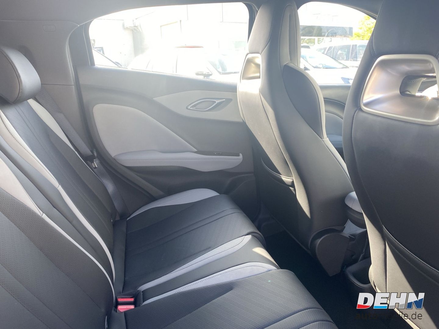 BYD DOLPHIN SURF