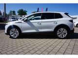 Skoda Elroq 85 Loft WP Plus 20''LM AHK Navi LED ACC SH - weiße Skoda Elroq