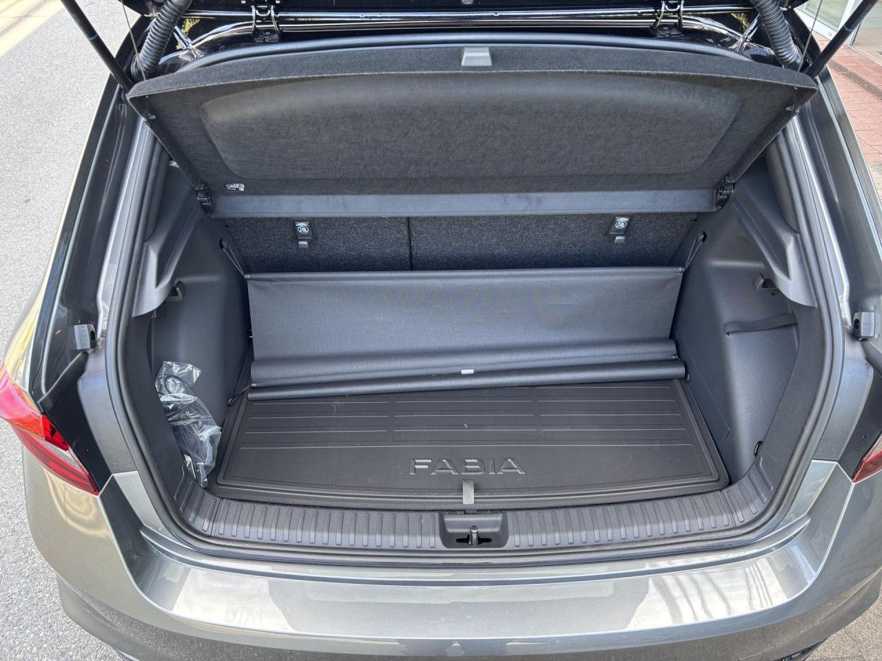 SKODA Fabia 1.0 TSI Monte Carlo 5J Garantie