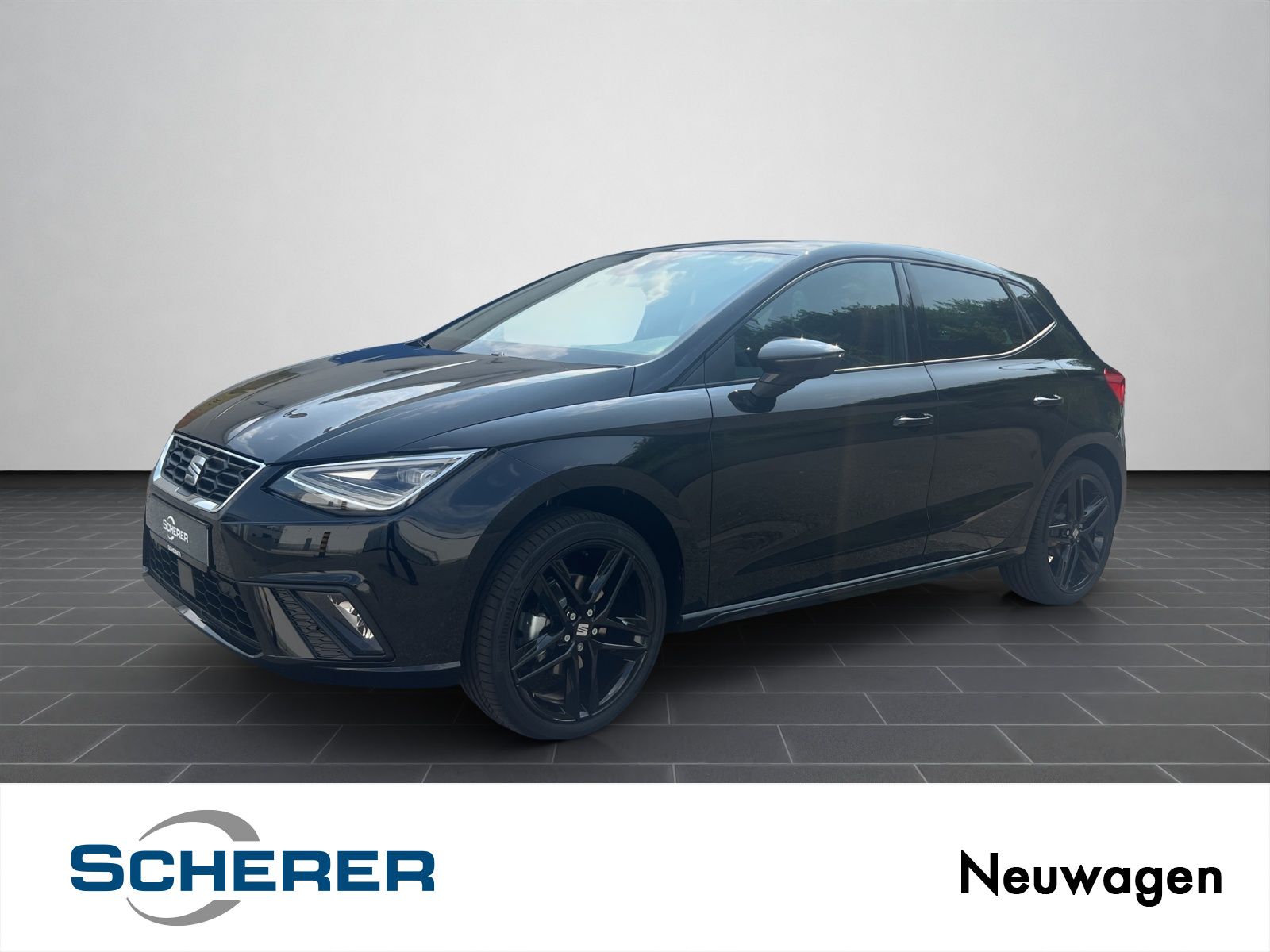 Seat Ibiza FR Black Edition 1.0 TSI DSG Winter-Paket/