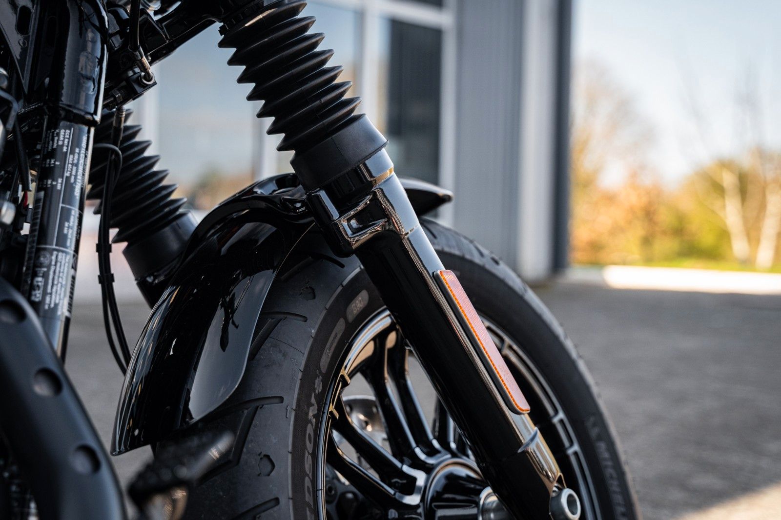 Fahrzeugabbildung Harley-Davidson XL1200X SPORTSTER FORTY-EIGHT - KESSTECH- BOBBER