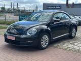 Volkswagen Beetle Lim. Basis BMT Steurkette NEU - VW Beetle Gebrauchtwagen in Bremen