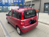 Fiat Panda - gebrauchte Fiat Panda aus dem Jahr 2010