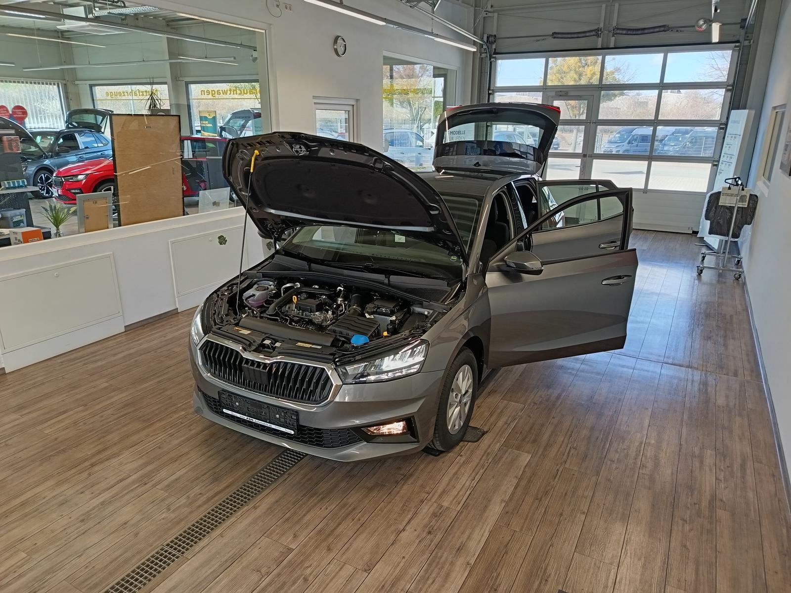 Skoda Fabia 130 Jahre 1,0 TSI *LED*R-KAM*PDC*DAB*SHZ*