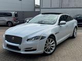 Jaguar XJ 3.0 D V6 Portfolio - Jaguar XJ aus 2018