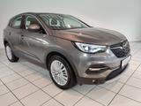 Opel Grandland X 1,2 Business Inno. Navi*Leder*PDC*DA - gebrauchte Opel Grandland (X) aus dem Jahr 2020