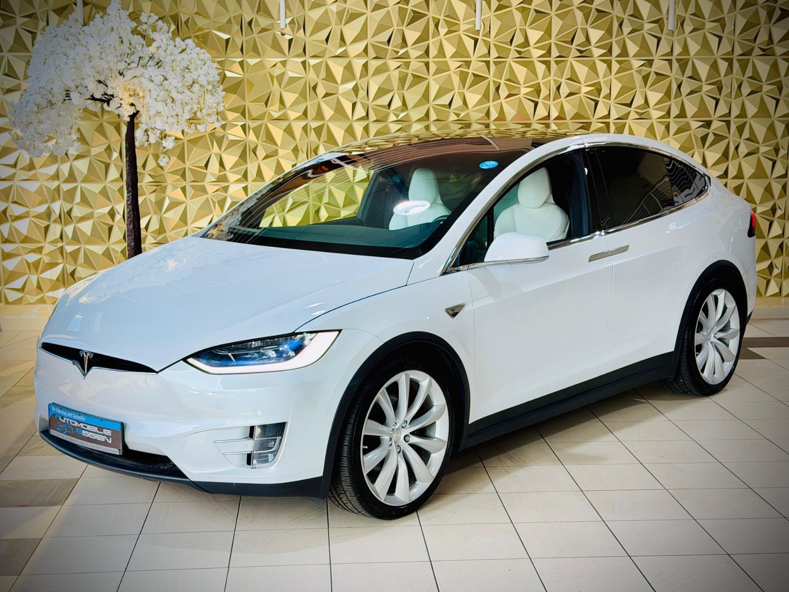 Tesla Model X P100D L