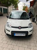 Fiat Panda Fiat New Panda Hybrid - Fiat New Panda aus 2023