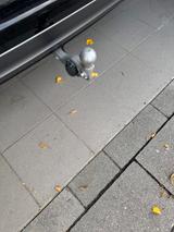 XPENG G6 AWD, Performance .AhK,360*Pano, Voll - XPENG G6: Performance