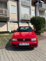Volkswagen VW Polo Classic - Volkswagen Polo: Classic